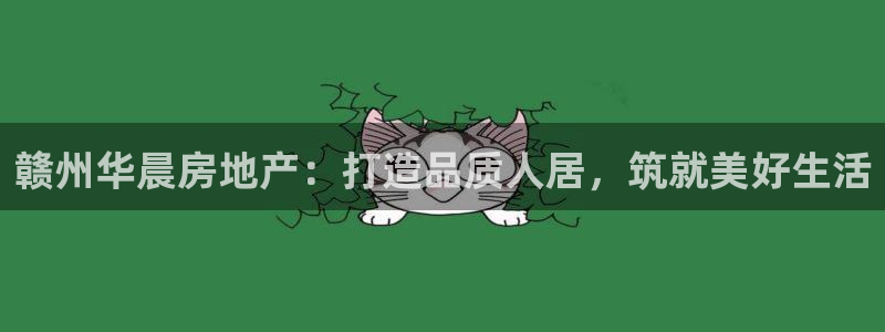 永利皮带型号说明