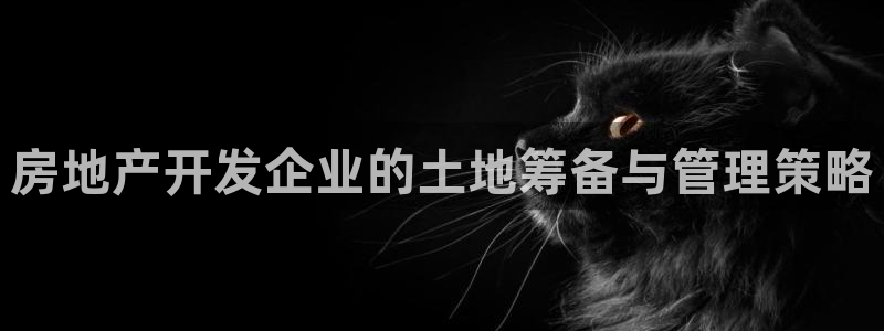 永利皮带官网旗舰店