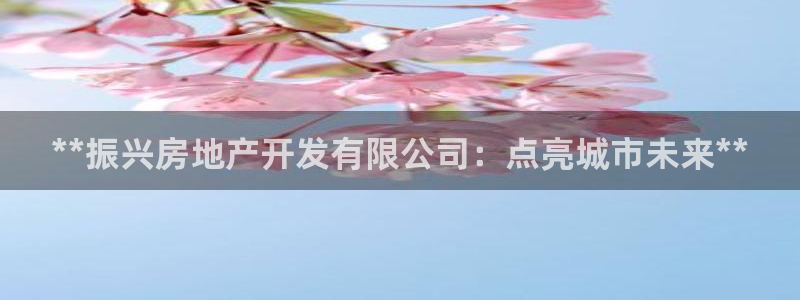 永利建筑工程有限公司董事长