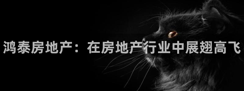 永利属于哪个集团