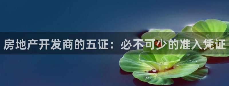 永利集团董事长什么级别