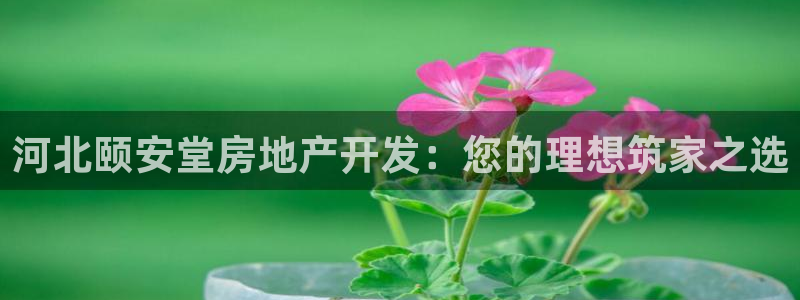 永利金控控股有限公司