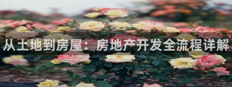 永利资管幕后老板