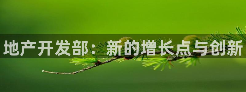 金沙永利夜总会怎么样